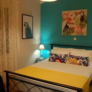 Domenica Apts Ii Apartment Laganas