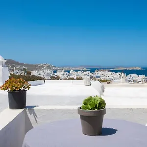 Hibiscus Rosa Location *