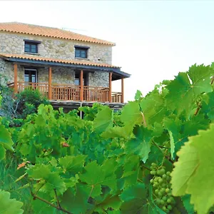 Abeloklima * Vasilikos (Zakynthos)